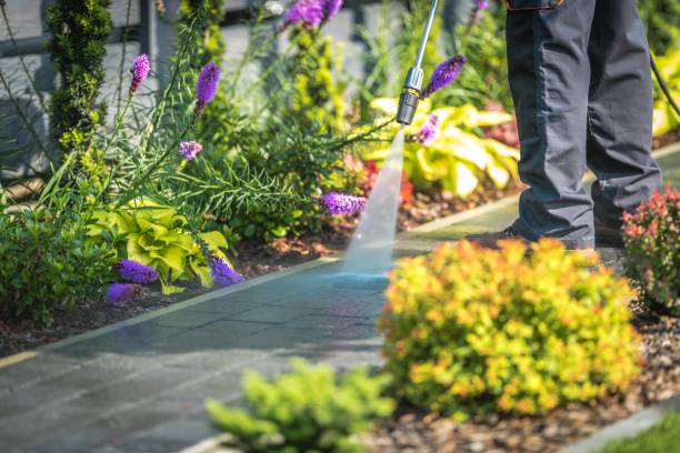 Best Gutter Cleaning  in Corinth, TX